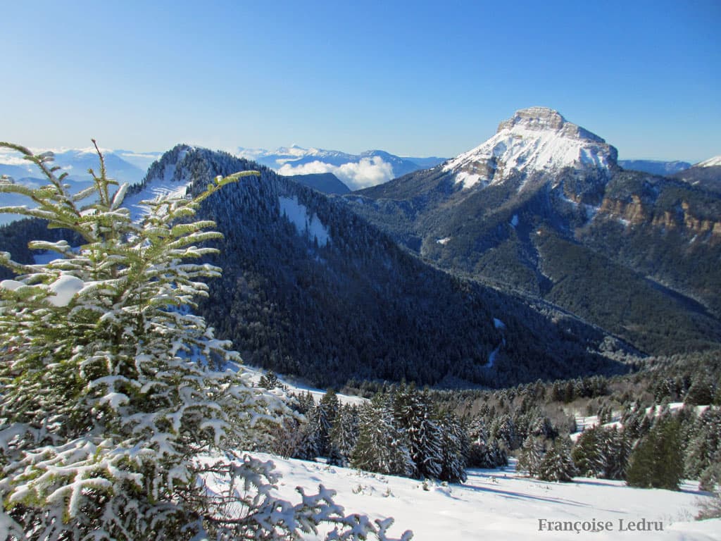 Soleil et neige sur la Chartreuse
