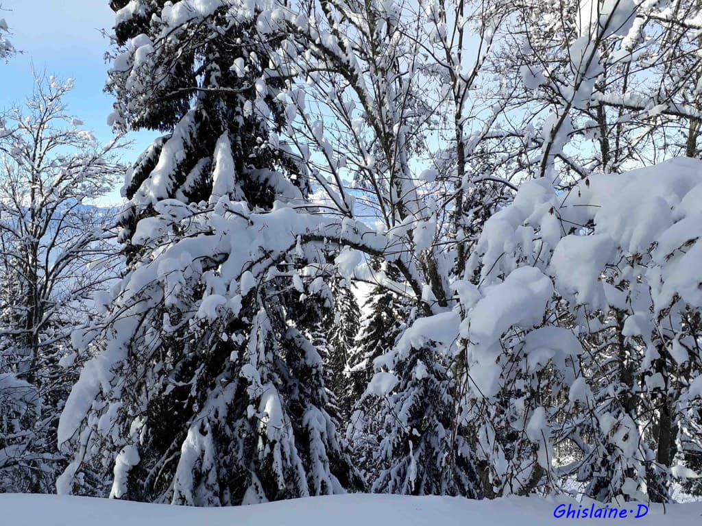 Soleil et neige