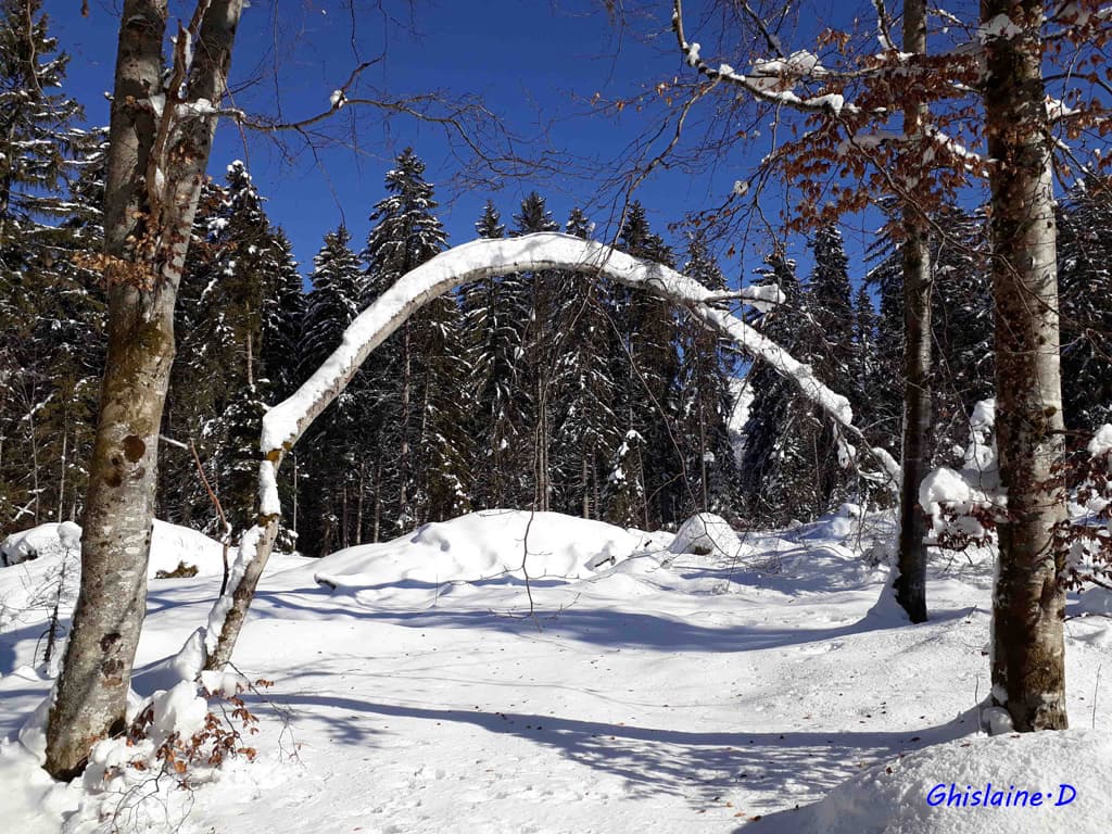 Voûte neigeuse