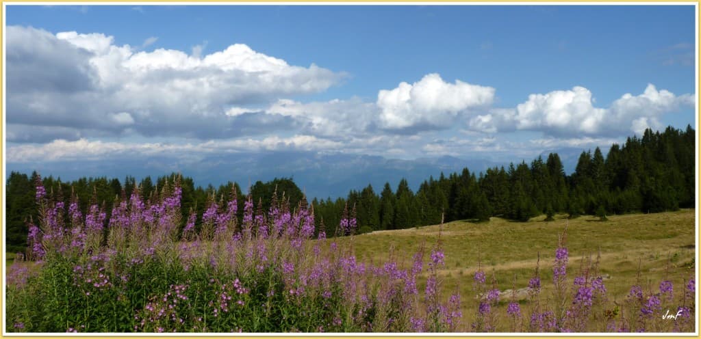 vue depuis l'alpage de la Molière