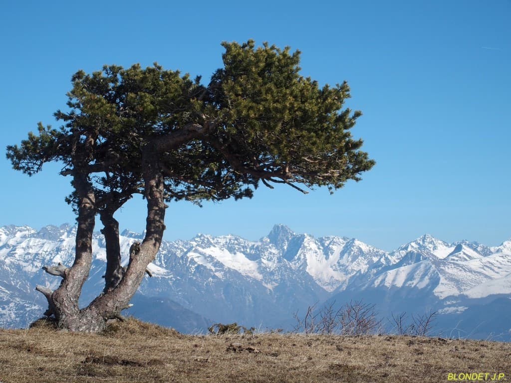 Vue des pentes du Serre de l'Horizon