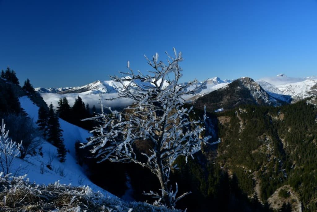 collet du pic de l'aigle