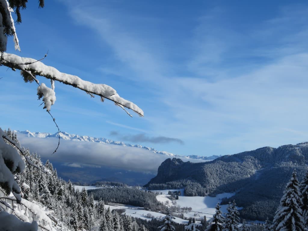 En redescendant de la Molière