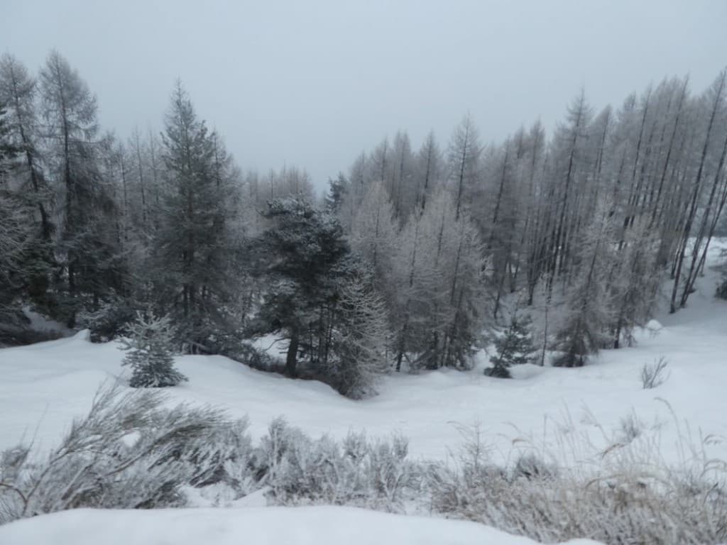 très froid puis très neigeux