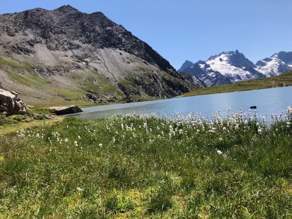 LAC DU GOLEON - Massif de la Meije