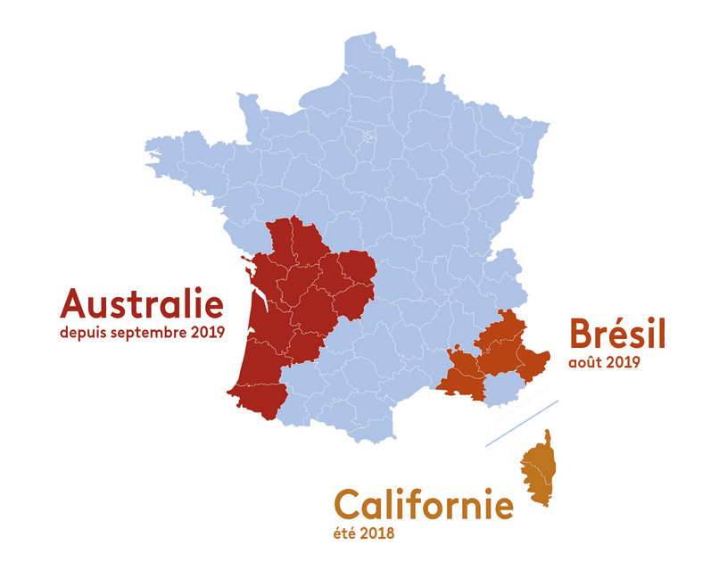 Image d'illustration pour Incendies dévastateurs en Australie : la responsabilité de l'océan Indien