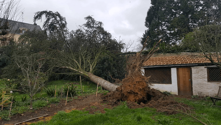 Image d'illustration pour Tempête Dennis : vents violents, fortes pluies et douceur au programme