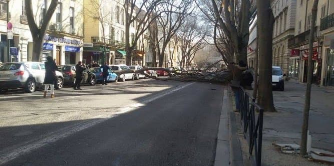 Image d'illustration pour Synthèse : tempête de mistral - tramontane, bise, burle et congère