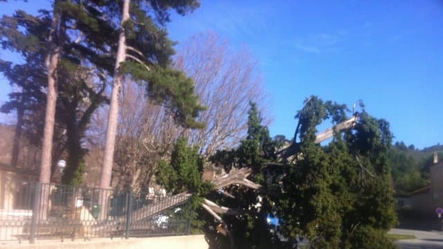 Image d'illustration pour Synthèse : tempête de mistral - tramontane, bise, burle et congère