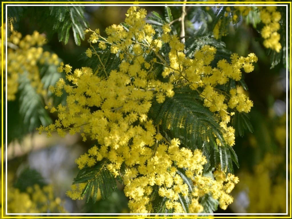 Image d'illustration pour Vos photos météo de la semaine